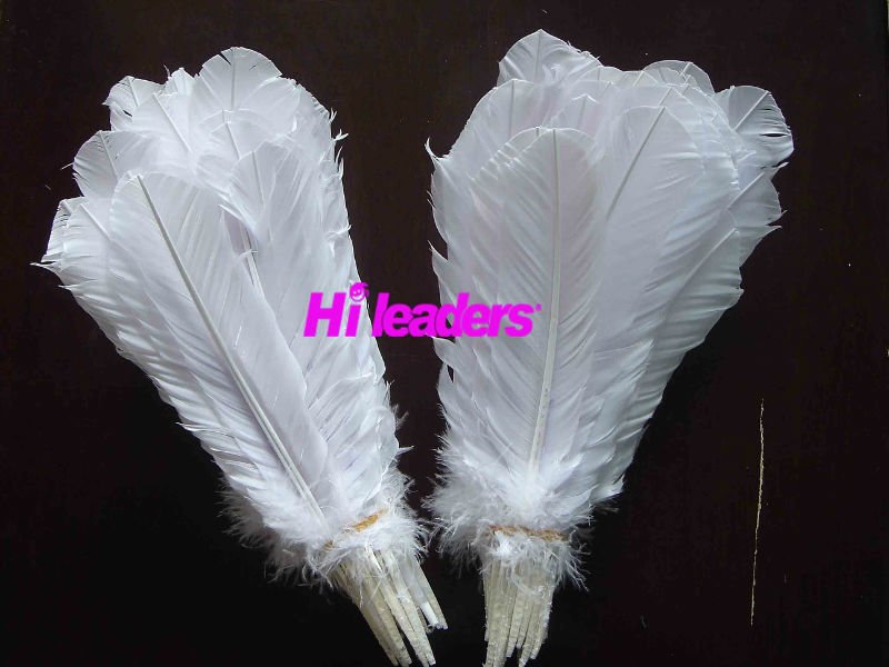 White Turkey feather