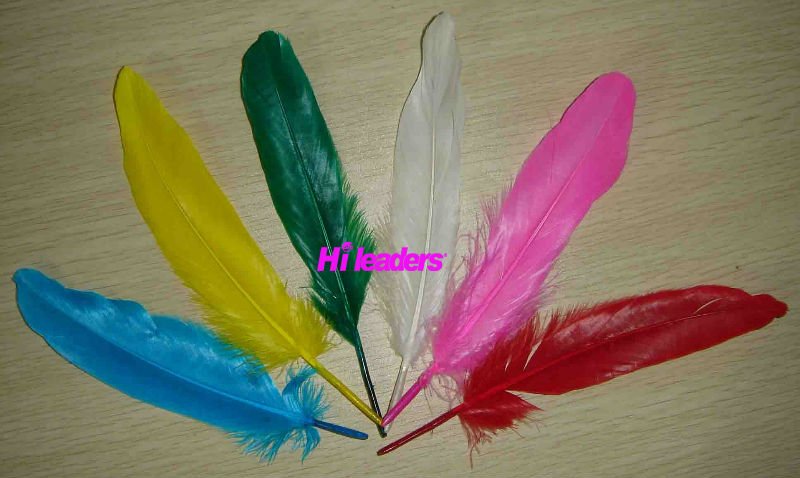 Decorative Dyed Turkey feather
