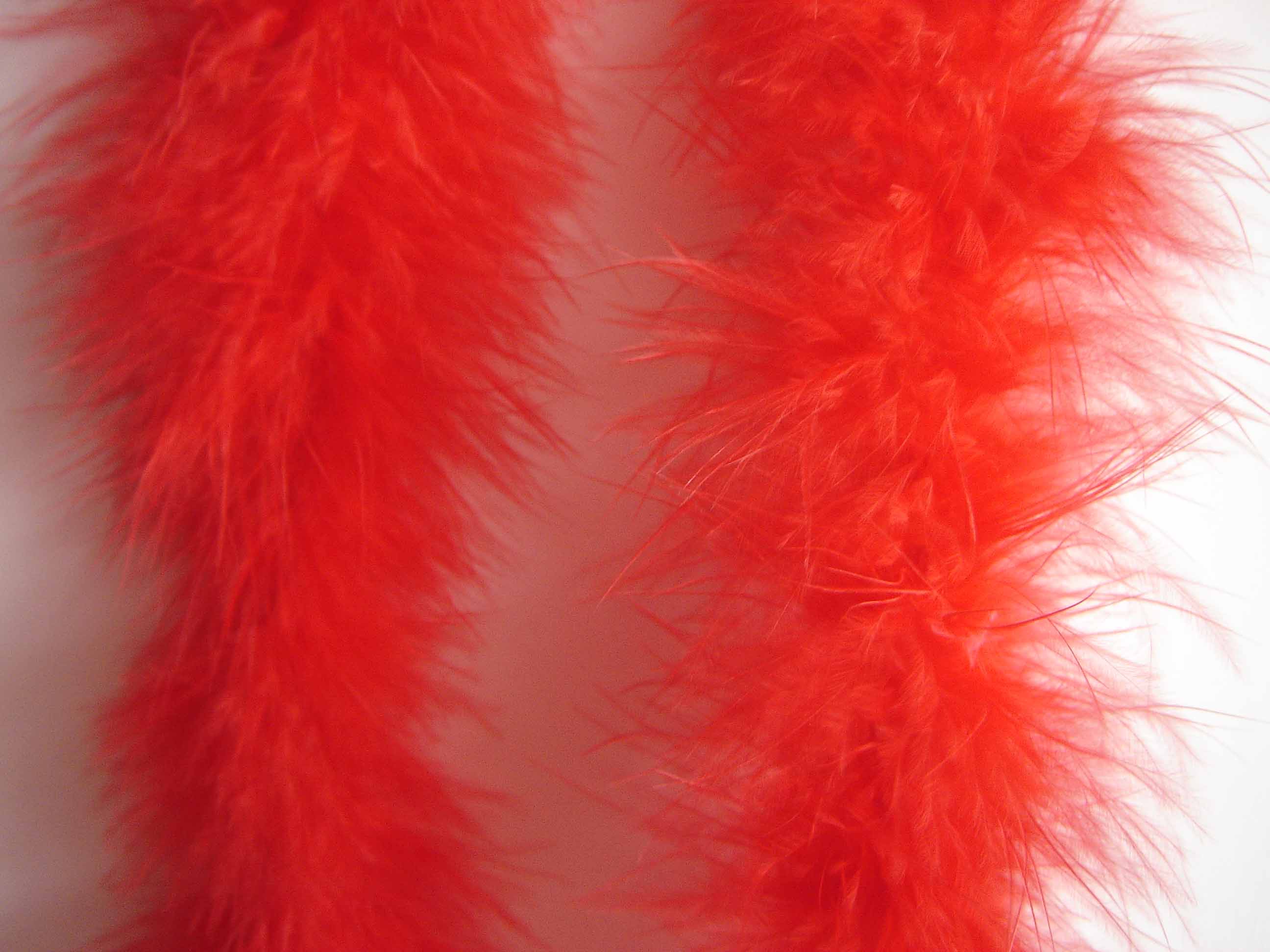 Decorative dyed feather boa