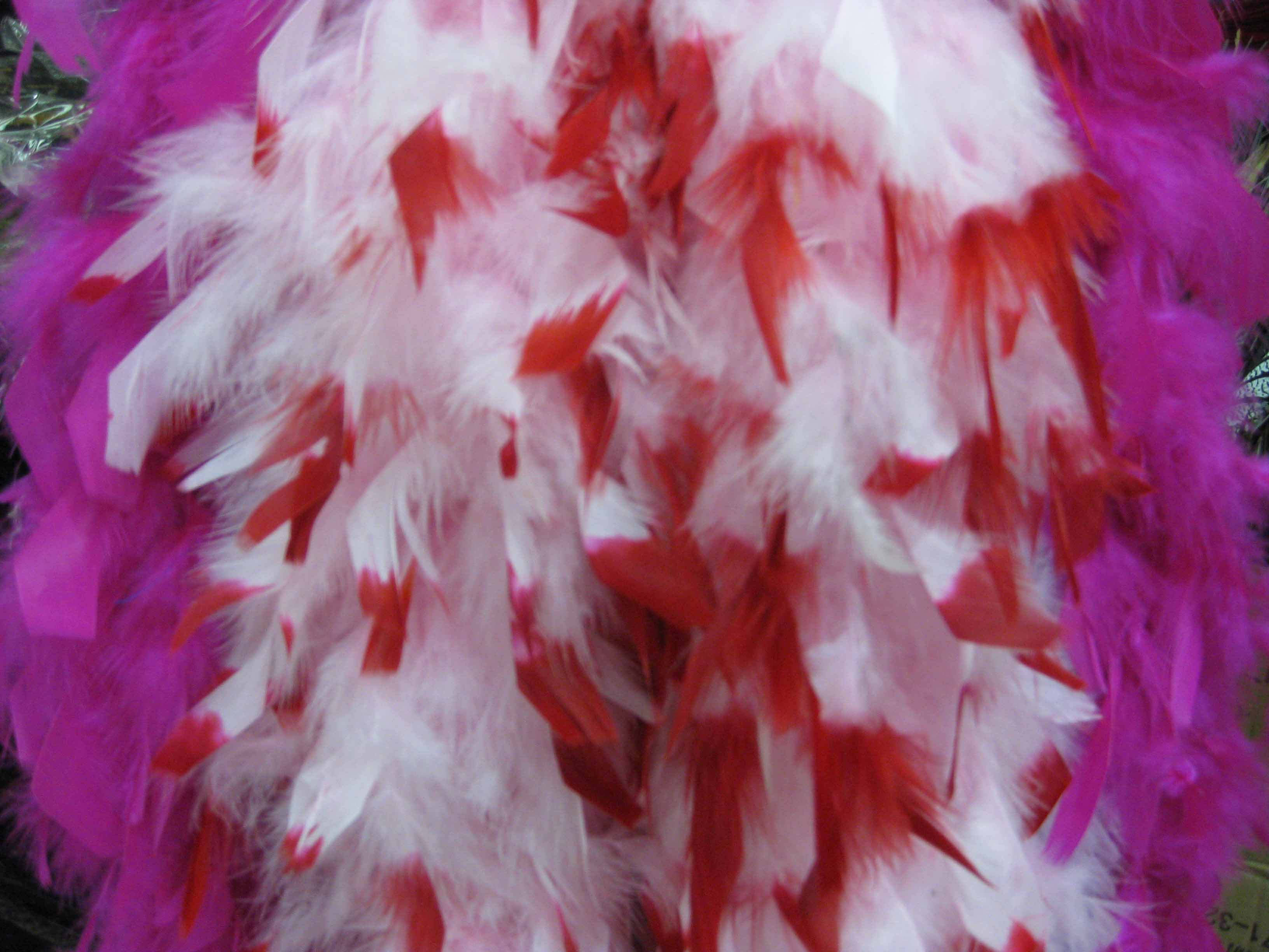 Dyed feather boa