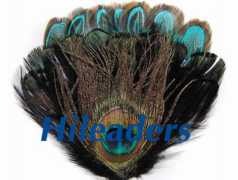 Decorative peacock  feather pad