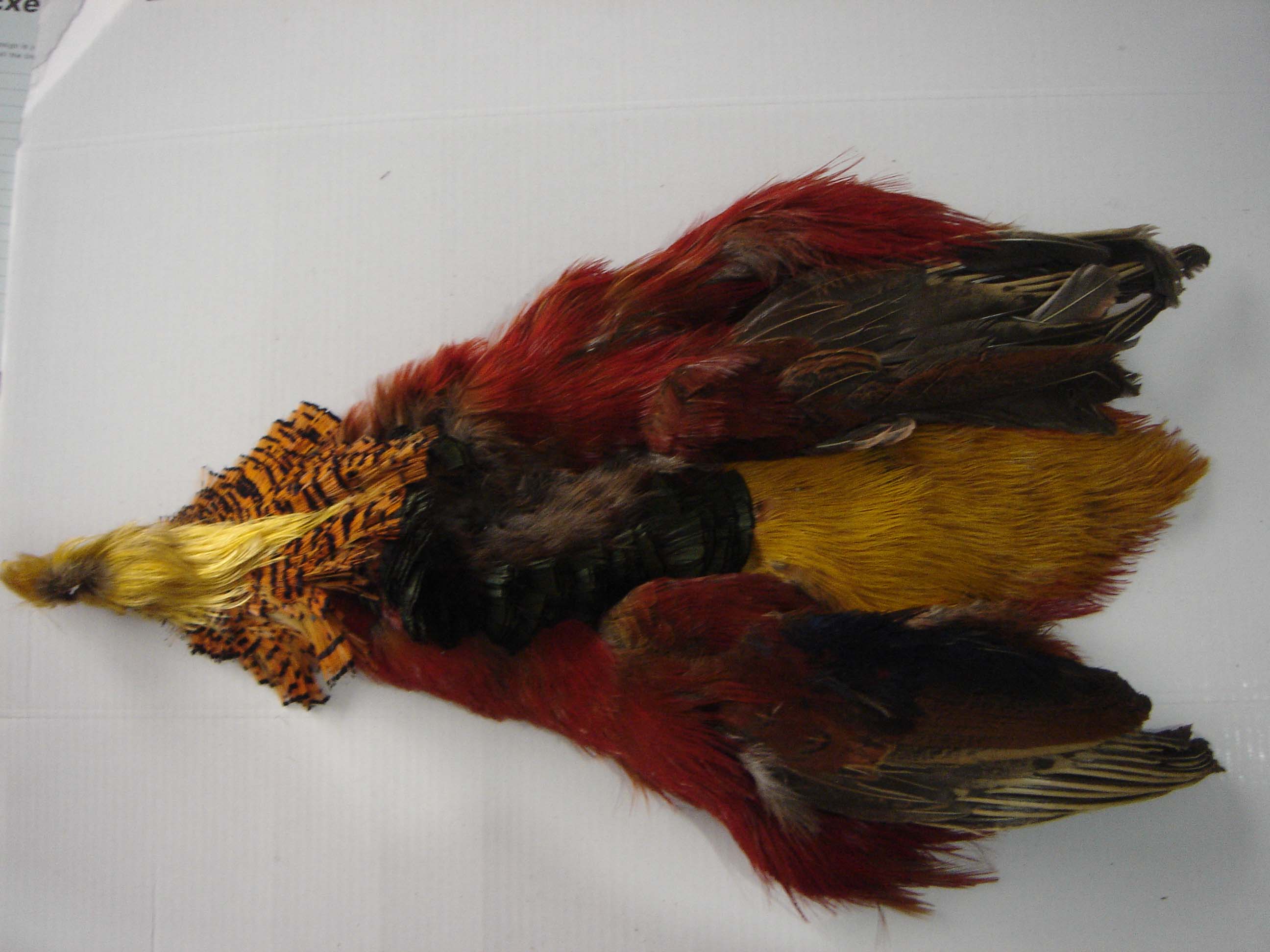 Ringneck pheasant feather/golden pheasant tail/reeves pheasant tail feather